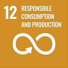 sdg