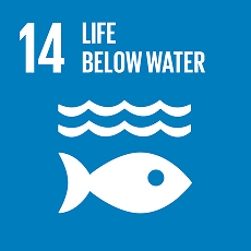 sdg